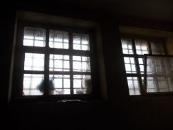 b_250_0_16777215_00_images_20190801OZKragujevac.jpg