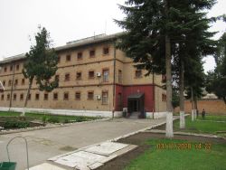 b_250_0_16777215_00_images_mitovica_2.jpg