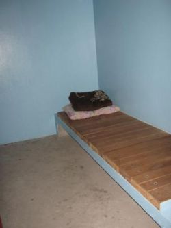 b_250_0_16777215_00_images_stories_img_3686.jpg